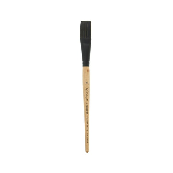 Princeton Brush Catalyst Polytip Short Handle Bristle Brush, Flat Shader, 10