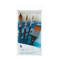 thumbnail image 1 of Princeton Brush Professional Boxed Set, Aqua Elite, 1 of 2