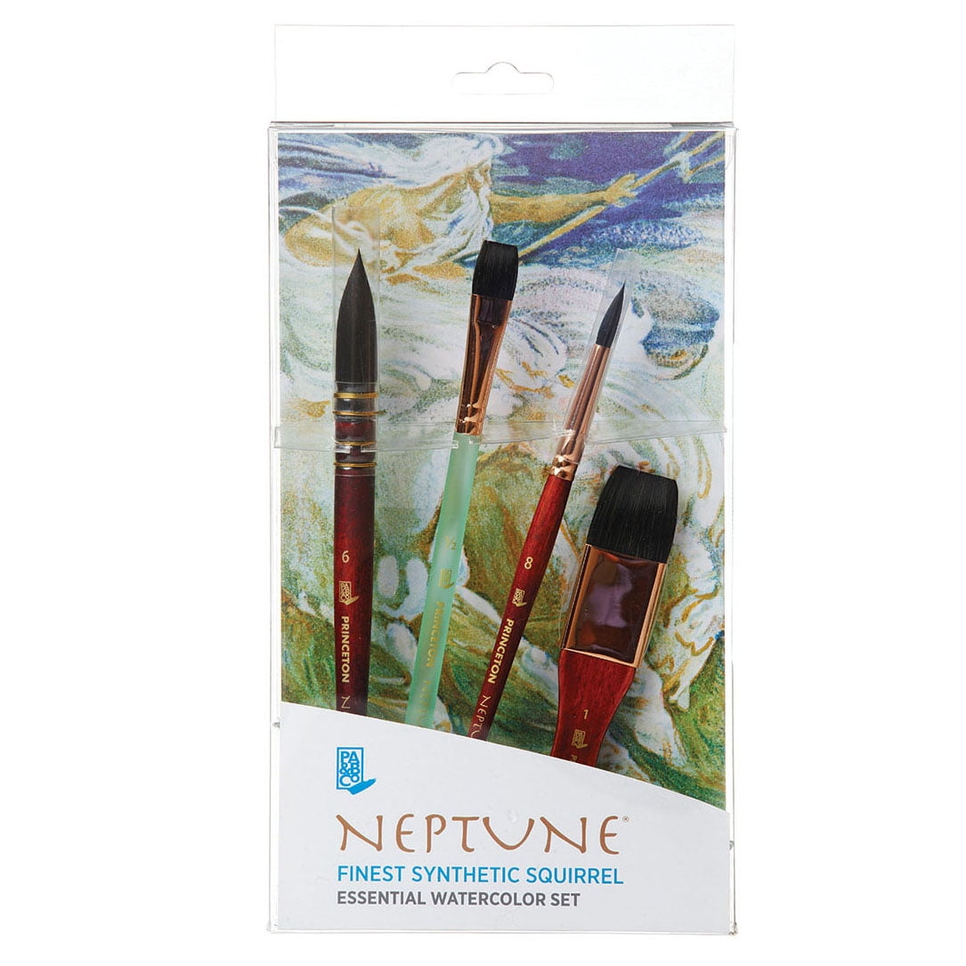 Princeton Brush fashion Professional Boxed Set, Neptune