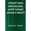 thumbnail image 1 of Princeton Studies in Culture/Power/Histo What Was Socialism, and What Comes Next?, (Paperback), 1 of 1