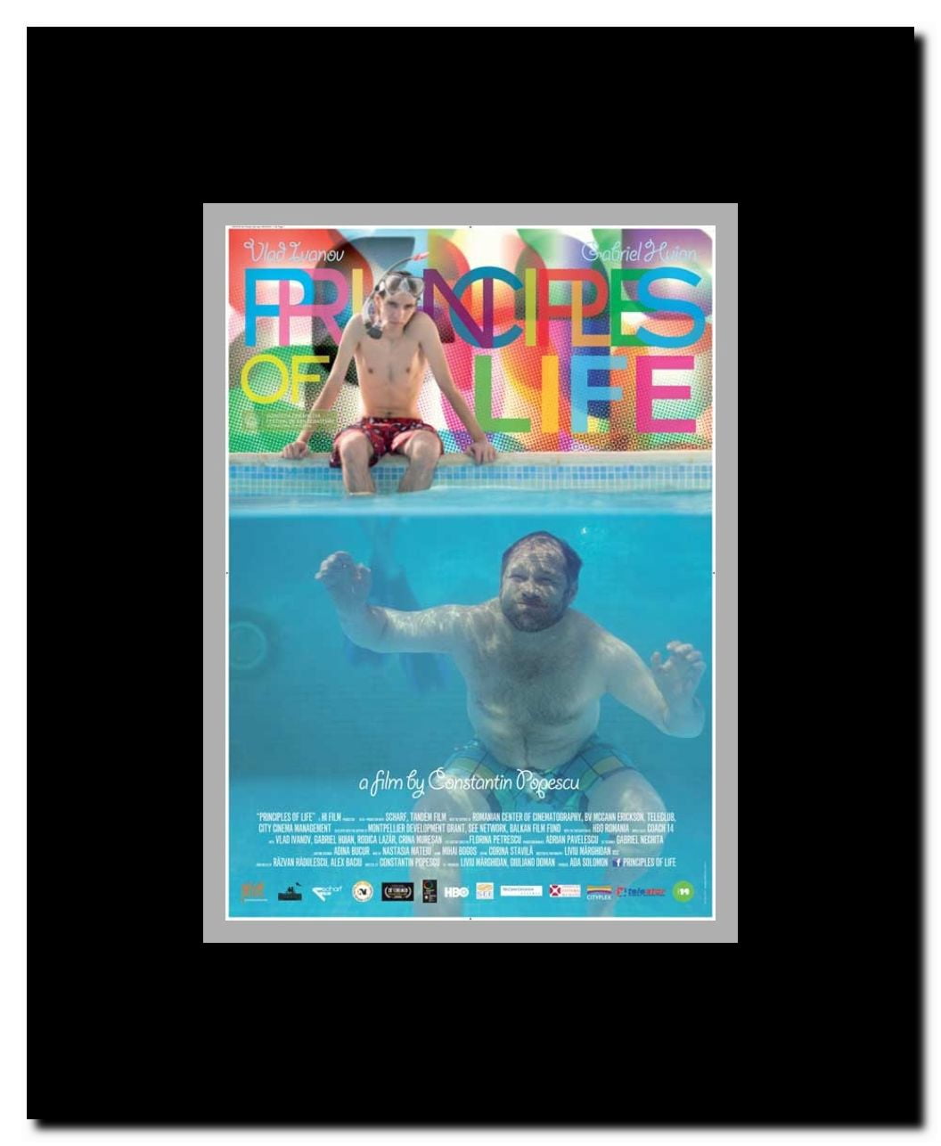 Principii de viata Framed Movie Poster