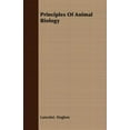 thumbnail image 1 of Principles of Animal Biology, 1 of 1