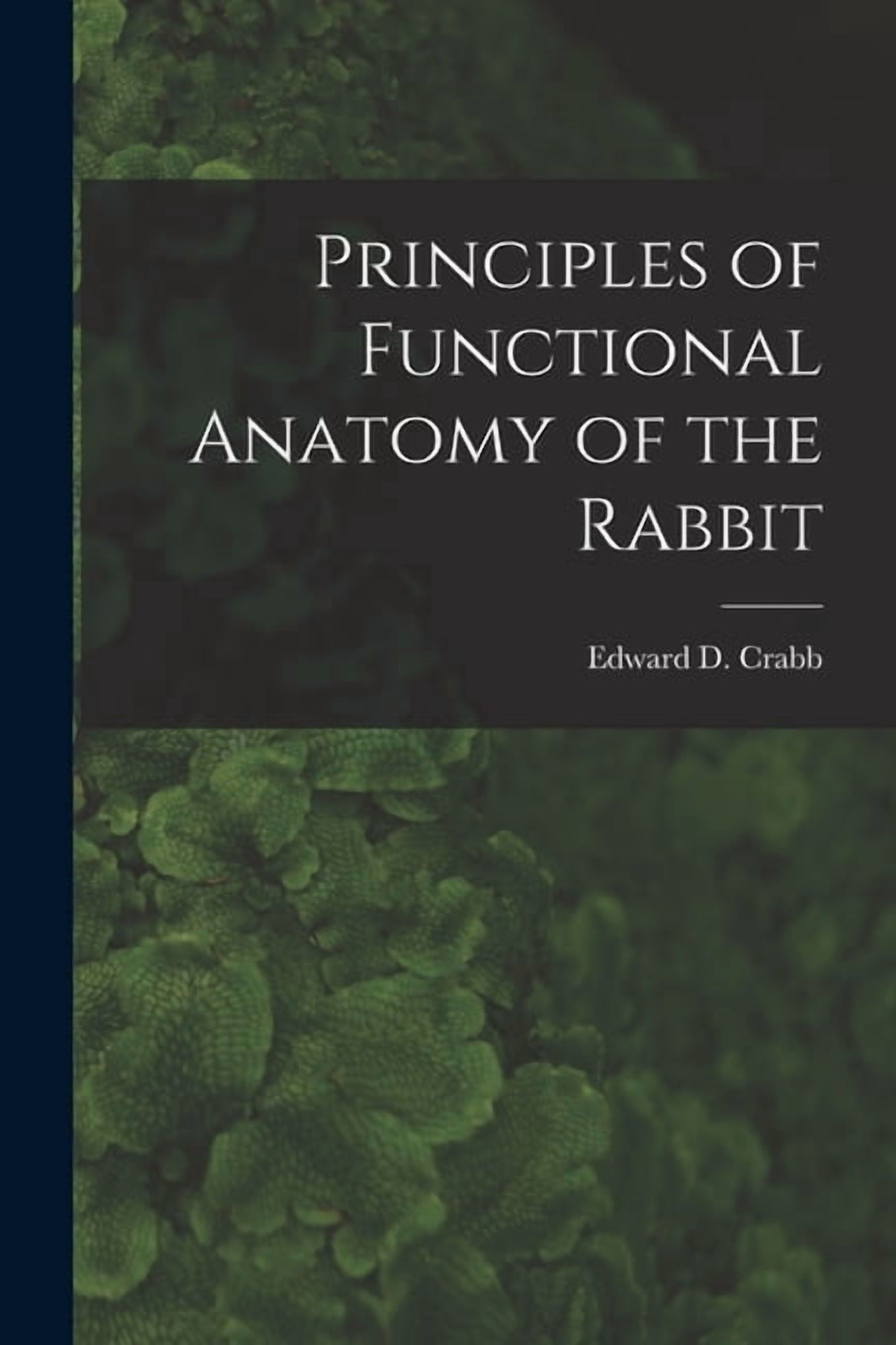 Rabbit Function Principles of Functional Anatomy of the Rabbit, (Paperback) - Walmart.com