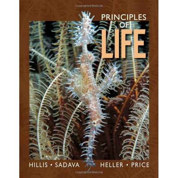 Pre-Owned Principles of Life (Hardcover) by David M Hillis, David E Sadava, H Craig Heller