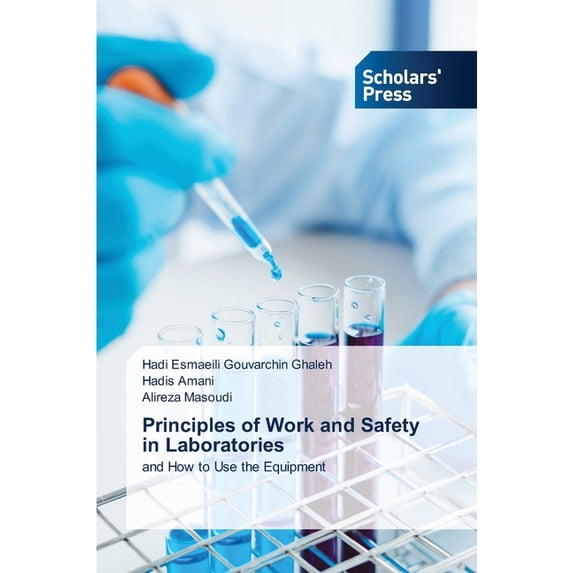 Principles of Work and Safety in Laboratories (Paperback)