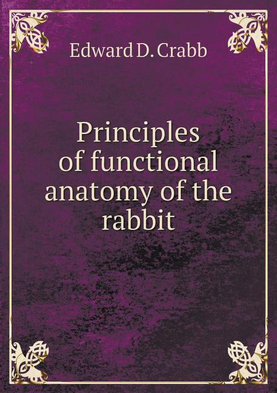 Rabbit Function Principles of functional anatomy of the rabbit (Paperback) - Walmart.com