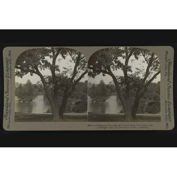 Print: A Glimpse Of The Lake In Central Park, New York City, 1907