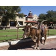 thumbnail image 1 of Print: A Longhorn Cow, Awaiting A Roundup (For Tourists' Benefit) In The, 1 of 4