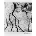 thumbnail image 1 of Print: Aerial View Of Hiroshima After The Bomb, 1946, 1 of 4