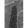 thumbnail image 1 of Print: Aerial View Of Marchers In The Shadow Of The Washington Monument At, 1 of 4