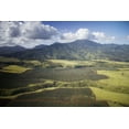 thumbnail image 1 of Print: Aerial View Of Pineapple Fields, Oahu, Hawaii, 2005, 1 of 4