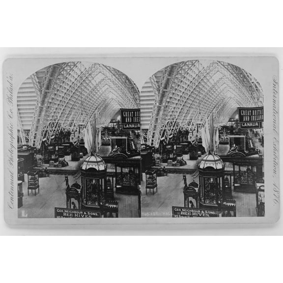Print: Agri. Hall Nave Looking North, 1876