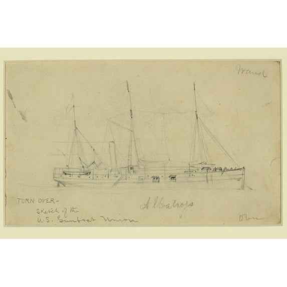 Print: Albatross, circa 1860