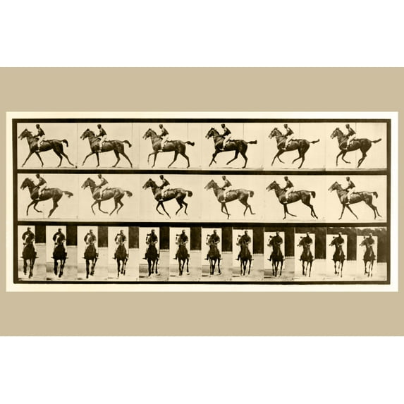 Print: Animal Locomotion, 1887