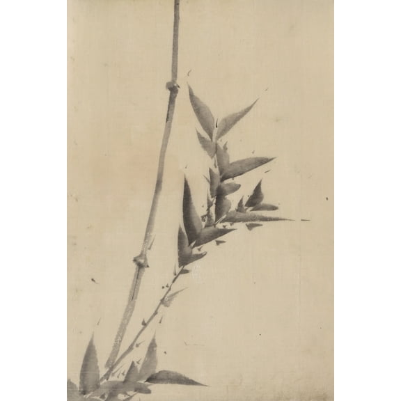Print: Bamboo Shoots, circa 1830