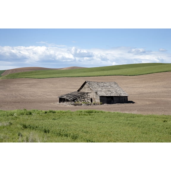 Print: Barn, Idaho, 2005