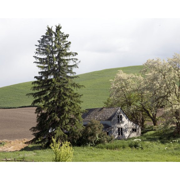 Print: Barn, Idaho, 2005