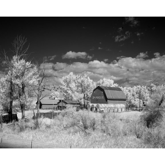 Print: Barn, Rural Montana, 2005