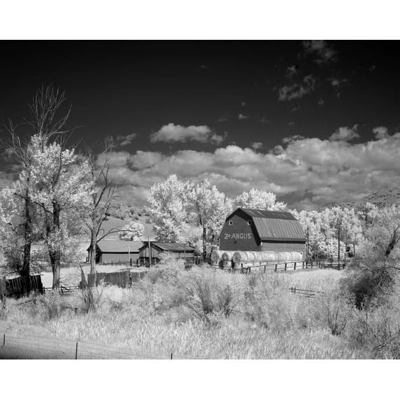 Print: Barn, Rural Montana, 2005