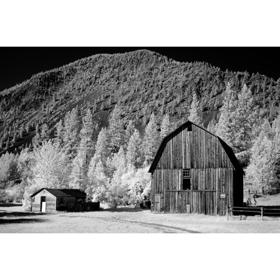 Print: Barn, Rural Montana, 2005
