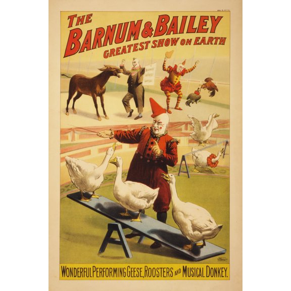Print: Barnum & Bailey Circus. Geese, Roosters, Musical Donkey, 1900