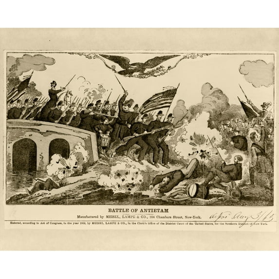 Print: Battle Of Antietam, 1863