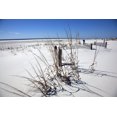 thumbnail image 1 of Print: Beach Scene On Dauphin Island, Alabama, 2010, 1 of 4