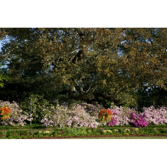 Print: Bellingrath Gardens And Home, The Creation Of Mr. And Mrs. Walter