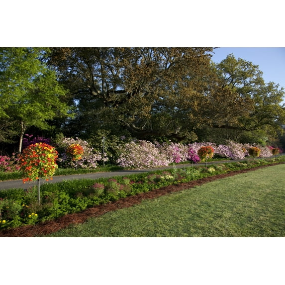 Print: Bellingrath Gardens And Home, The Creation Of Mr. And Mrs. Walter