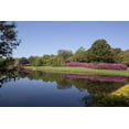 thumbnail image 1 of Print: Bellingrath Gardens And Home, The Creation Of Mr. And Mrs. Walter, 1 of 4