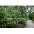 thumbnail image 1 of Print: Birmingham Botanical Gardens, Birmingham, Alabama, 2010, 1 of 4