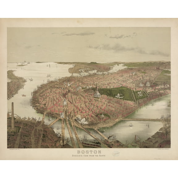 Print: Boston - Bird's Eye View From The North, 1877