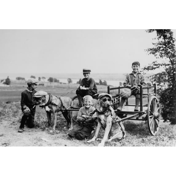 Print: Boys Posed With Dog and Carts in Field, circa 1900-1920