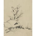 thumbnail image 1 of Print: Buildings And Large Tree On The Waterfront, With Two Boats Anchored, 1 of 4