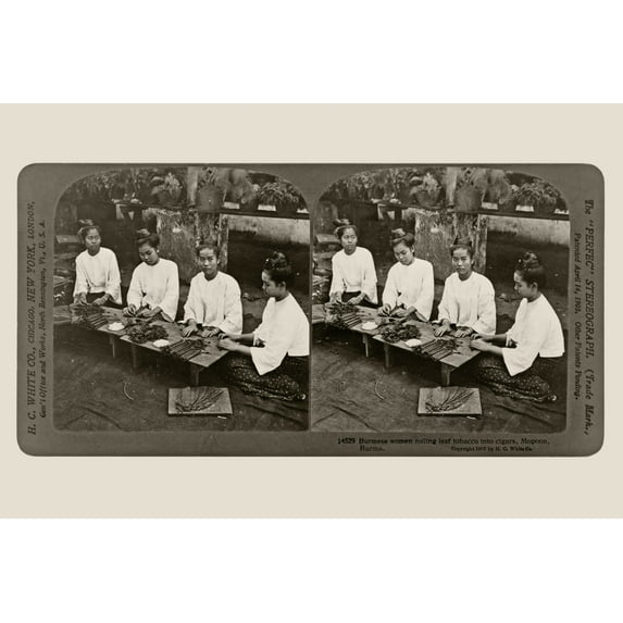 Print: Burmese Women Rolling Leaf Tobacco Into Cigars, Mopoon, Burma, 1907