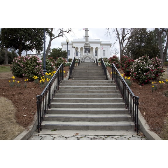 Print: Camellias, Which Are The Alabama State Flower, Bloom In Profusion