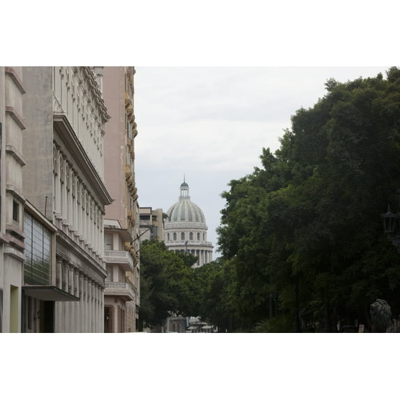 Print: Capitol Dome Peeks Through The Trees On The Prado In Havana, Cuba