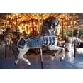 thumbnail image 1 of Print: Carousel In Spring Park, Tuscumbia, Alabama, 2010, 1 of 4