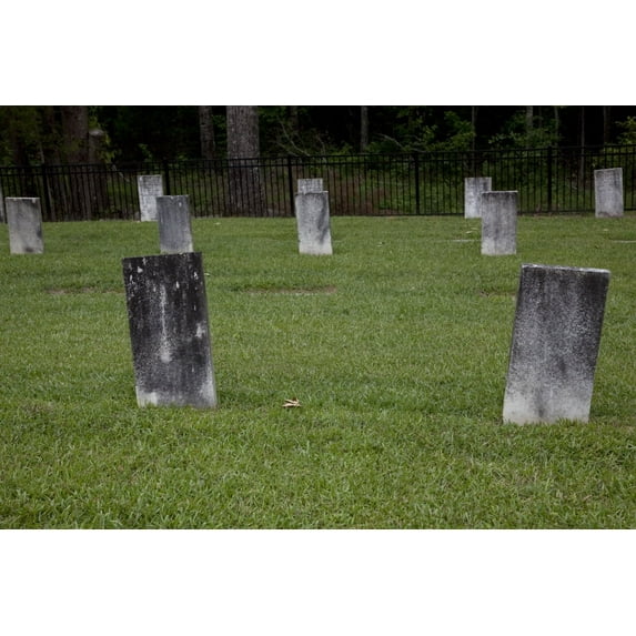 Print: Cemetery At Confederate Memorial Park, Marbury, Alabama, 2010