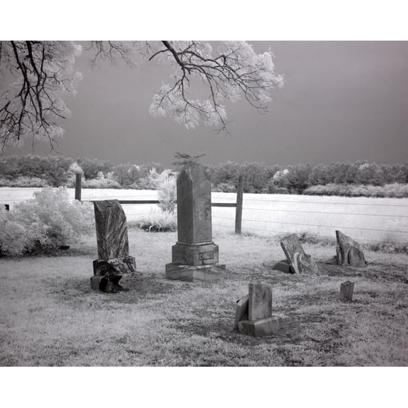 Print: Cemetery In A Cow Pasture In Rural Monroe County, Alabama, 2010
