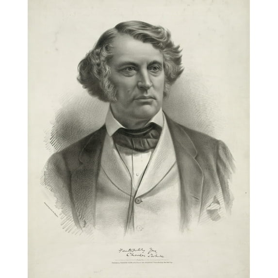 Print: Charles Sumner, circa 1872