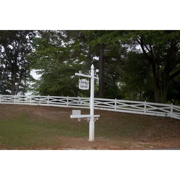 Print: Chasley, Monroe County, Alabama, 2010