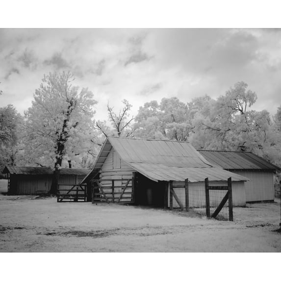 Print: Chasley, Monroe County, Alabama, 2010