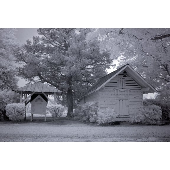 Print: Chasley, Monroe County, Alabama, 2010