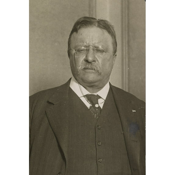 Print: Col. Theodore Roosevelt, circa 1900