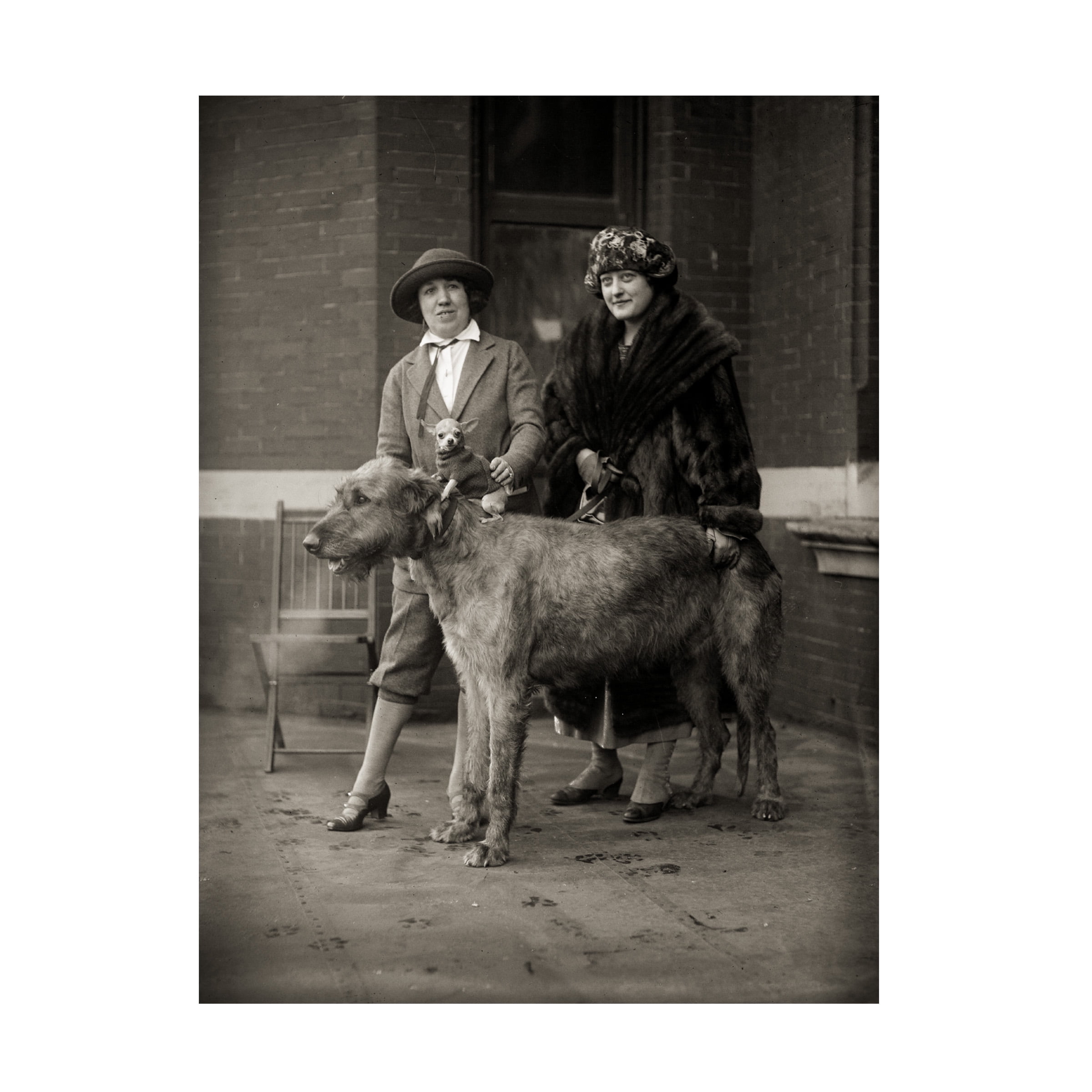 Print Collection 'All Creatures Large and Small' Canvas Art