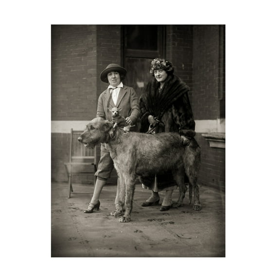 Print Collection 'All Creatures Large and Small' Canvas Art