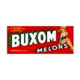 thumbnail image 1 of Print Collection 'Buxom Melons' Canvas Art, 1 of 4