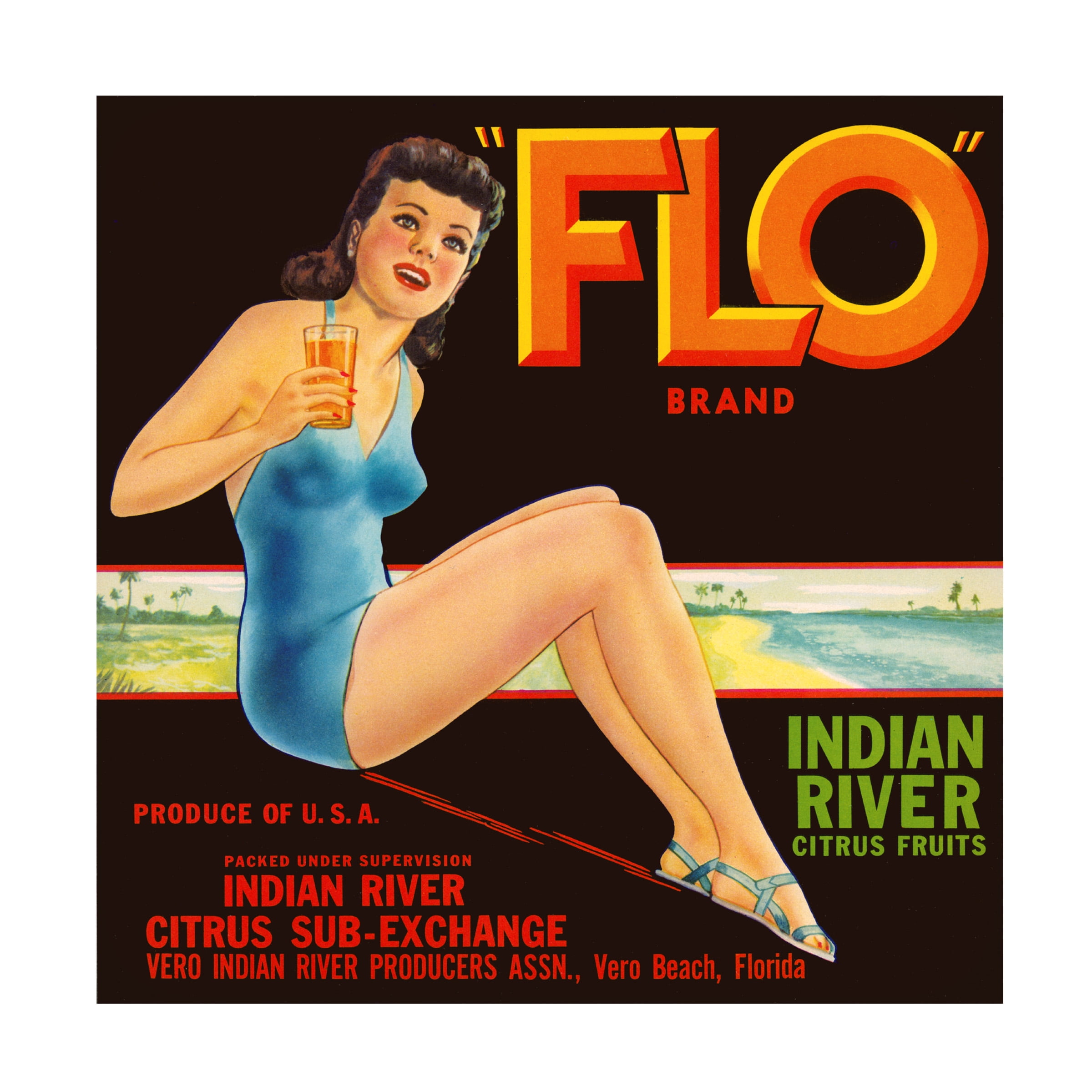Print Collection 'FLO Brand Citrus' Canvas Art