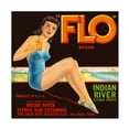 thumbnail image 1 of Print Collection 'FLO Brand Citrus' Canvas Art, 1 of 4